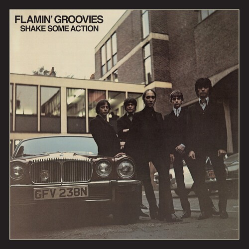 Flamin groovies shake - shake, some